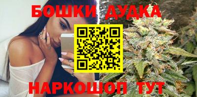 стафф Лесосибирск